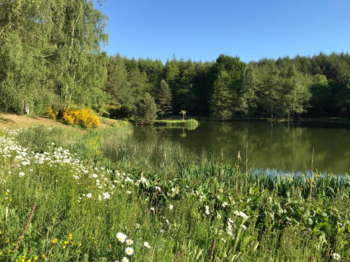 Morvan La Pastourelle Quarré-les-Tombes Dış mekan fotoğraf
